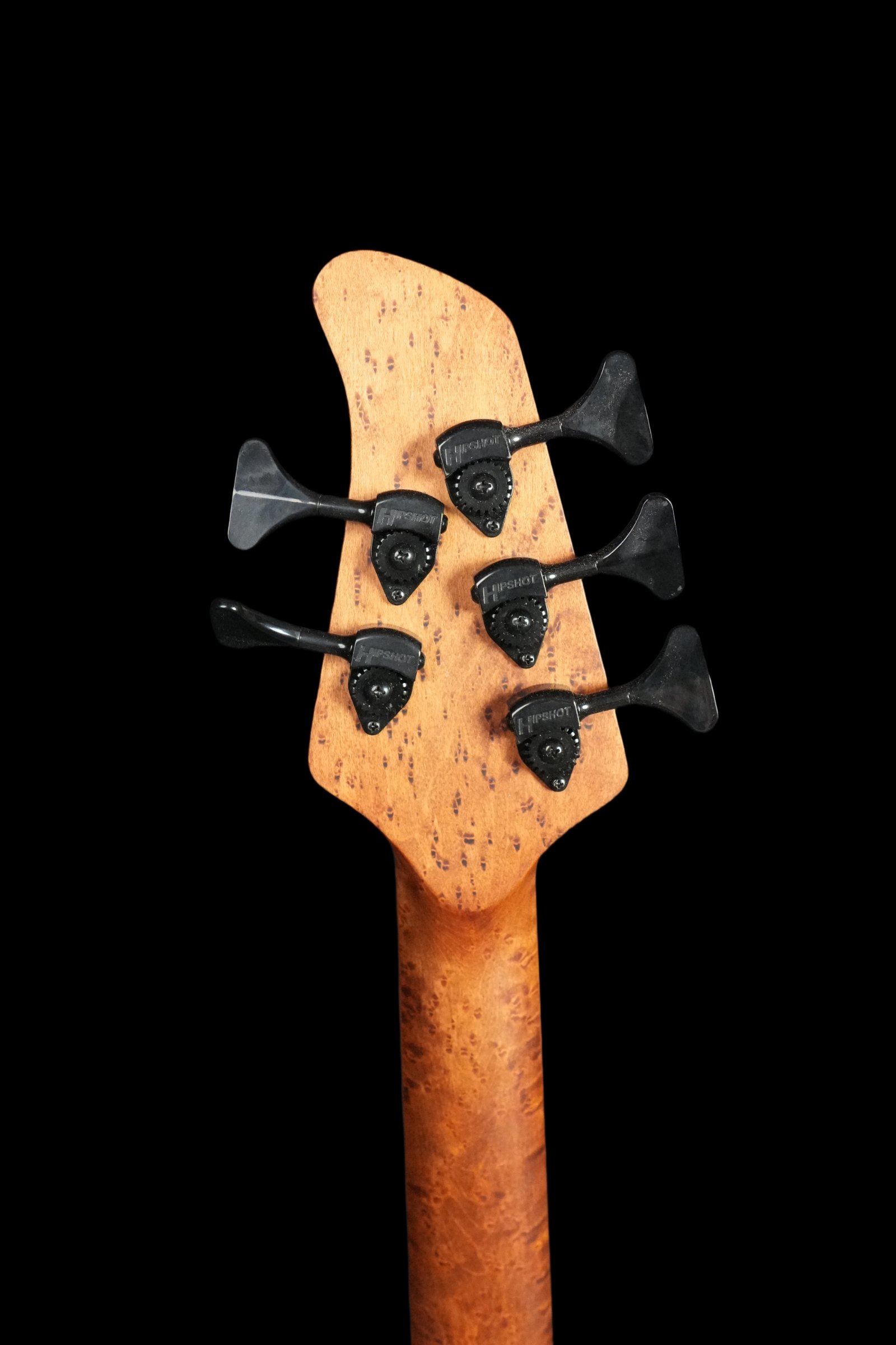 Sanct Bass Single Cut Series SC5 - Image 5